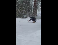 Man takes picture of an object at the snow