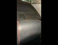 Cockroach found on Uber car seat