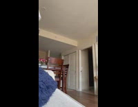 Cat fetch ring garter kitchen to sofa