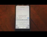 Large brown dog orange collar throws party