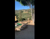 Guy tees off throws golf club 