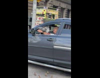 Driver sings to pigeons 