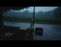 Rain lightning thunder storm green hedge bush 