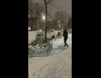 Friends outside have snowball fight across street