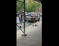 Lady in blue holds net near pigeons 