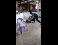 Man releases rat and kicks towards cameraman