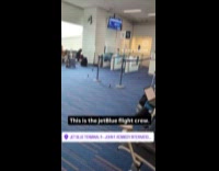 Collab WINY - Woman jokes about birds being the flight crew