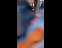 Swarm of bees on lamp pole street