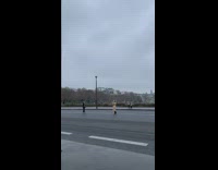 Woman brown coat stand middle of road