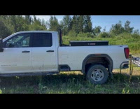 Submitter shows swarm of horsefly 