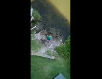 Green shirt guy crowd of turtles pt 4