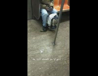 White dog skateboard jacket shoes hat train 