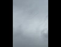 Birds lined up fly together cloudy sky