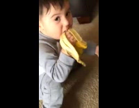 Little boy in grey squatting on carpet eating a banana gets up and walks away