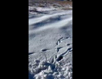 Man jokes about having huge wiener