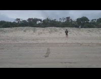 Guy falls touching finish line 