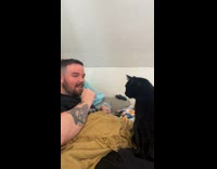 Man Sneezes Repeatedly to Tease Black Cat