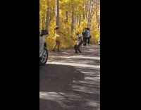 Woman in a yellow dress and a hat dances near the yellow trees