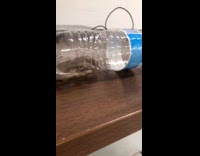 Snake captured inside bottle attacks the filmer