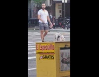 Man walks pet pig across street on leash