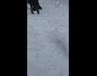 Snowman with horns long body at park 