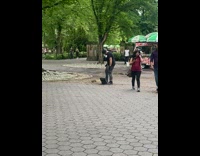 Skater plays with squirrel 