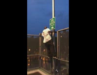 Randall Islands guy climbs fence to try to pet possum 