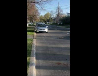 Collab BitchMP - Baby squirrel side of road rescued