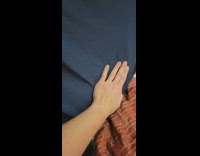 Pet cat found and patted behind the curtain