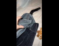 Collab Clips MPUGC - Woman thought fake tail was her cats 