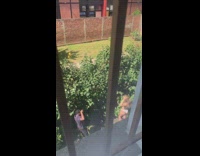 Woman topless poses behind the bushes