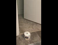 Three boys restroom poop prank