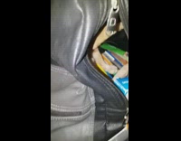 Brown cat inside black leather backpack flash