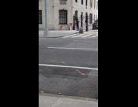 Protest white shirt pants girl leans building 