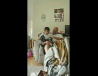 Dog hates lion blanket and starts barking and chewing blanket