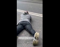 Man lie down ground takes dinosaurs picture