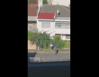 Woman white sweater lean plant wall photo shoot