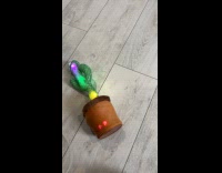 Man hits cactus screaming toy with rope
