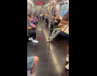 Collab WINY - Black cat holds seat during train ride