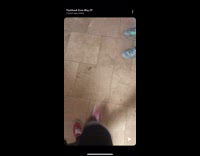 Small brown dog humps arm soccer ball