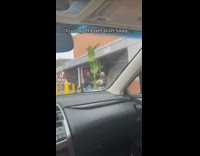 Mom returns from shopping with tall plant 