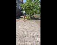 Guy rides bike into water 