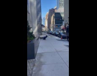 Collab winy - Man with hat pushups on the sidewalk