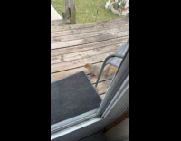 Woman feeding wild squirrel on porch 