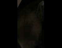 Pet cat hides inside the clothes drawer