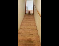 Submitter scares dog hits face on gate