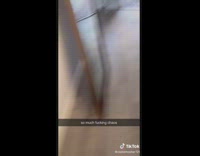 Collab BitchMP - Girl catches snake with broom pushes it out of house