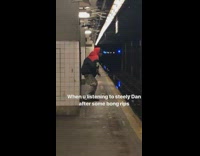 (DUPLICATE) when you listening to steely dan after some bong rips