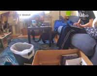 Black cat jumps but head hits table