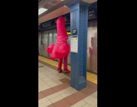 Pink flamingo guy stands near tracks 